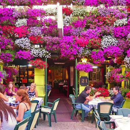 Monet Belgrade: Ideal Place For Digital Nomads, Medical Tourists, Wellness Apartment